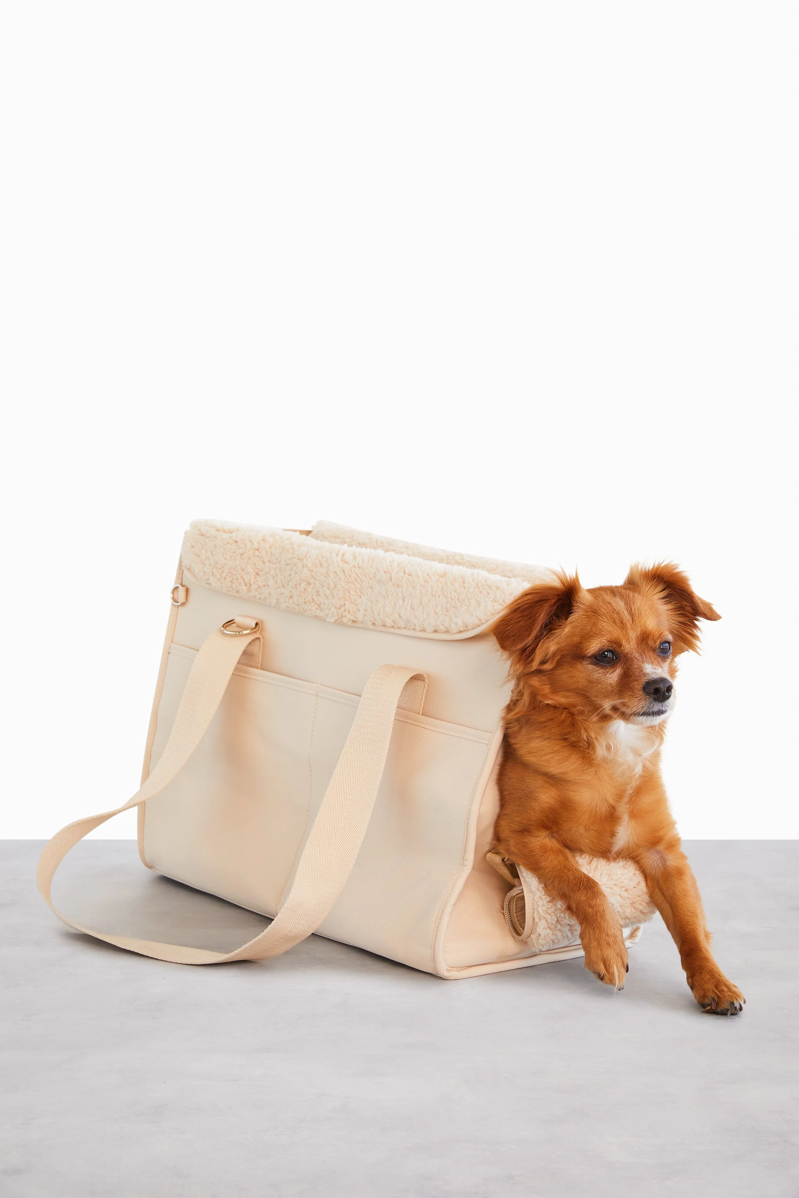 Resale The Everyday Pet Tote in Beige - Image 3