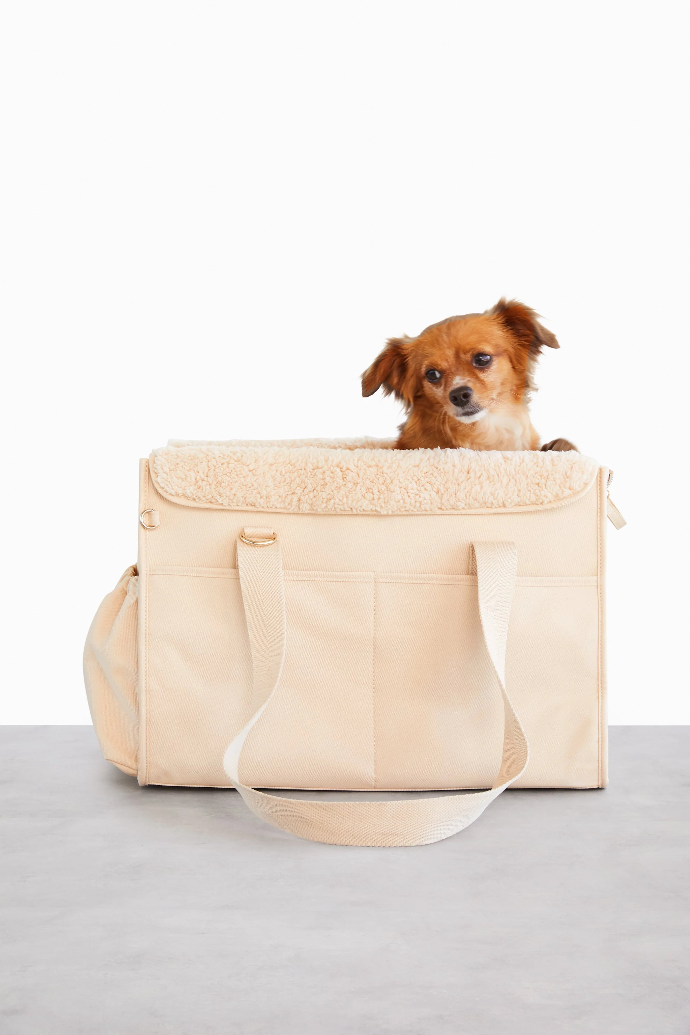 Resale The Everyday Pet Tote in Beige - Image 4