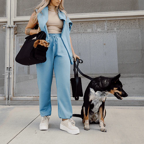 Resale The Everyday Pet Tote in Black - Image 14