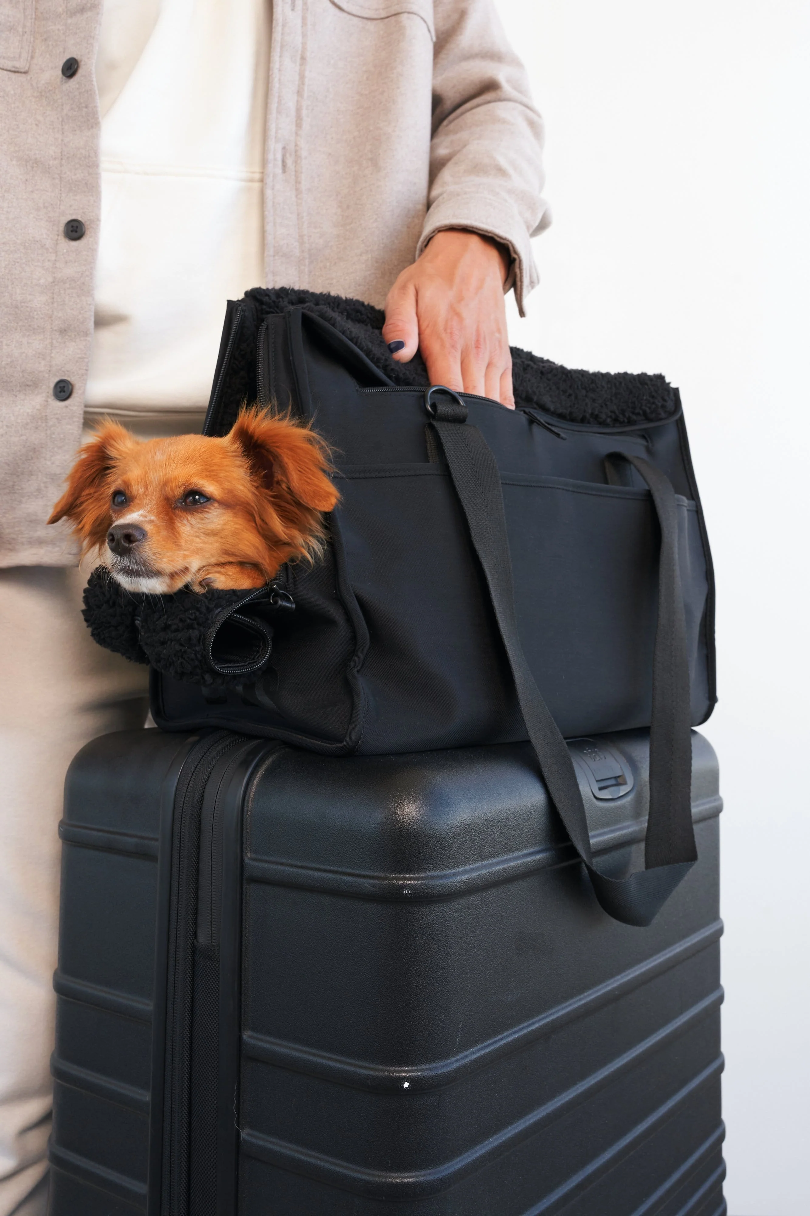 Resale The Everyday Pet Tote in Black - Image 7