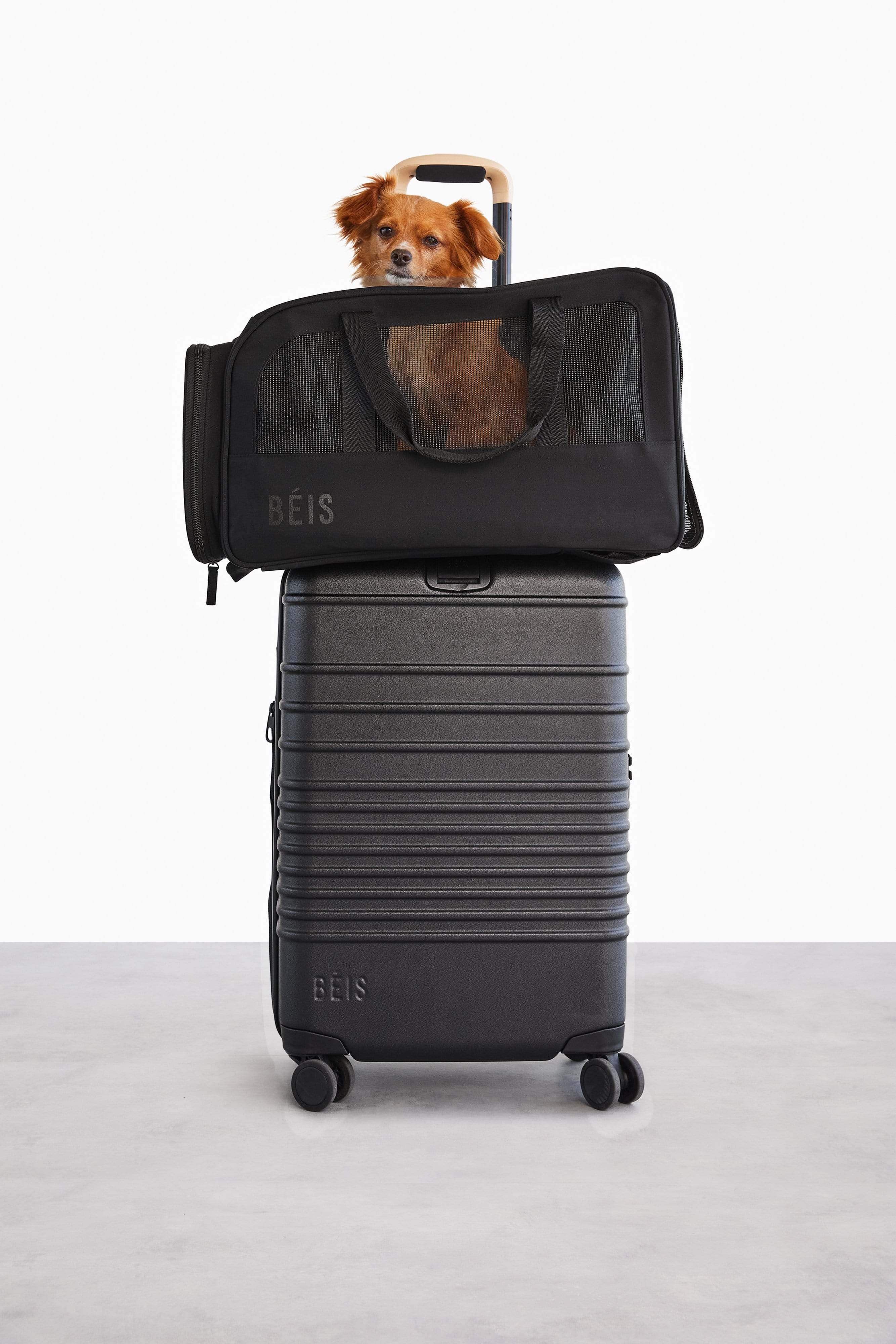 Resale The Regulation Pet Carry-on in Black - Image 9