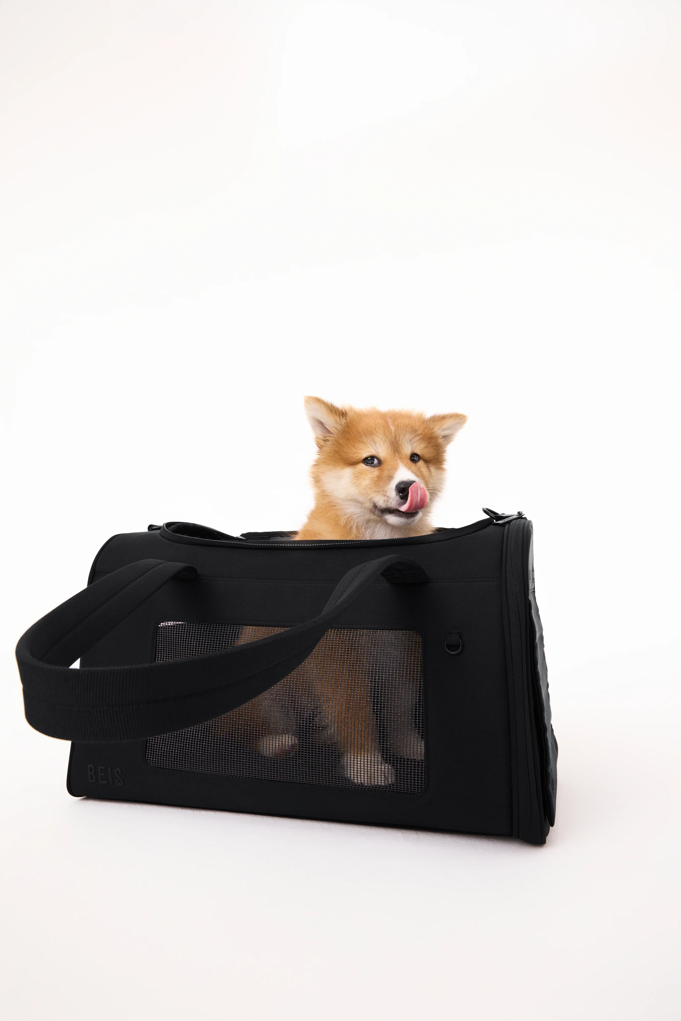 The Pet Carrier in Black - Image 4